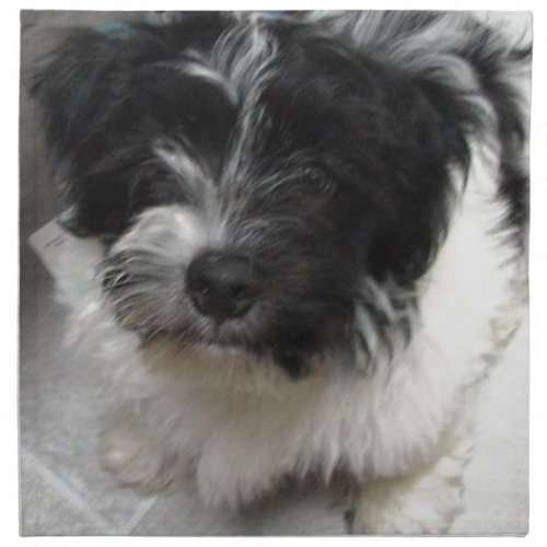 Havanese Rescue Puppy black and white Napkin