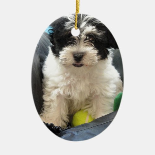 Havanese Rescue Puppy Black White Ceramic Ornament