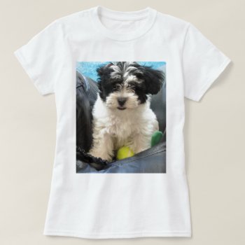 Havanese Rescue Puppy Black White T-shirt by patsarts at Zazzle