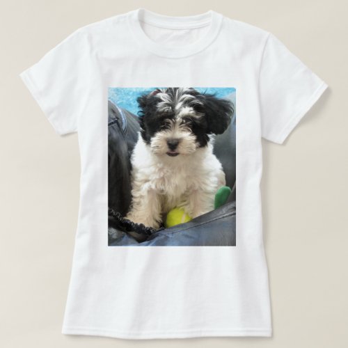 Havanese Rescue Puppy Black White T_Shirt