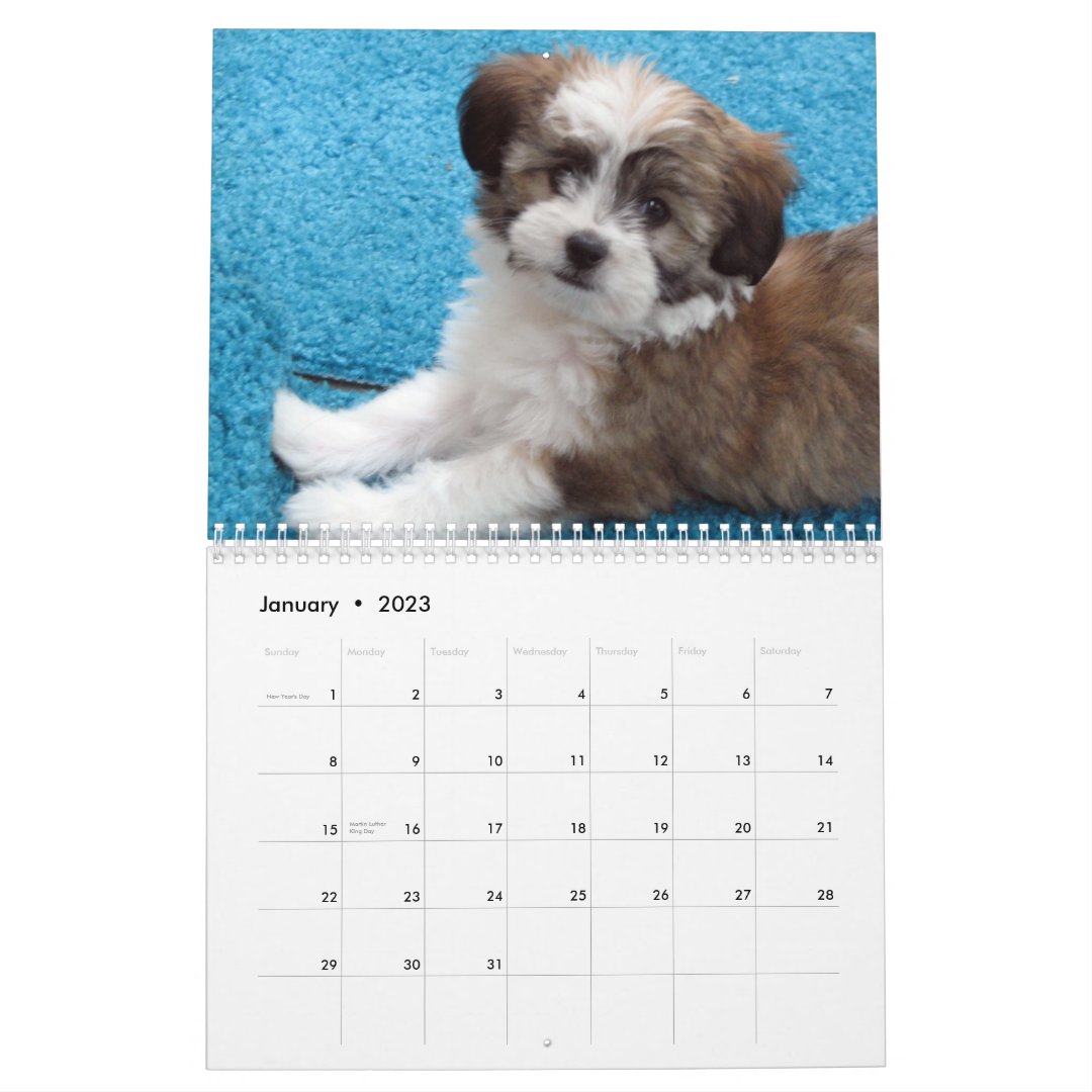 Havanese Rescue Puppy Calendar Zazzle