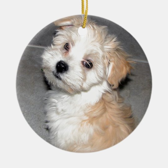 Havanese Rescue Puppy Tan Beige Ceramic Ornament