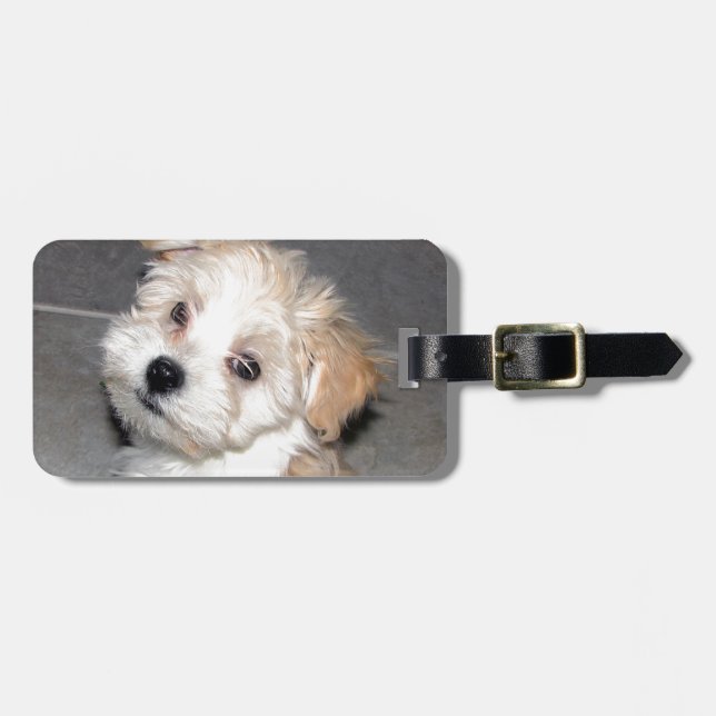 Havanese Rescue Puppy Tan Beige Luggage Tag (Front Horizontal)