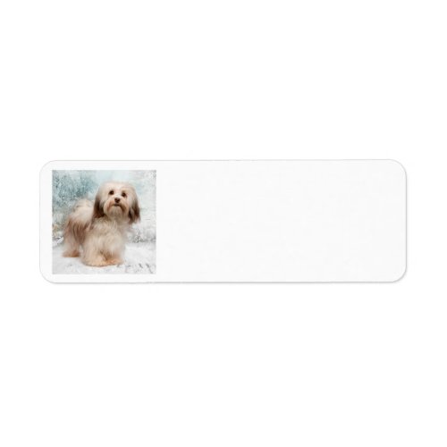 Havanese Return Address Label