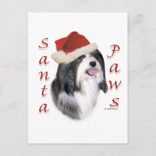 Havanese Santa Paws Holiday Postcard