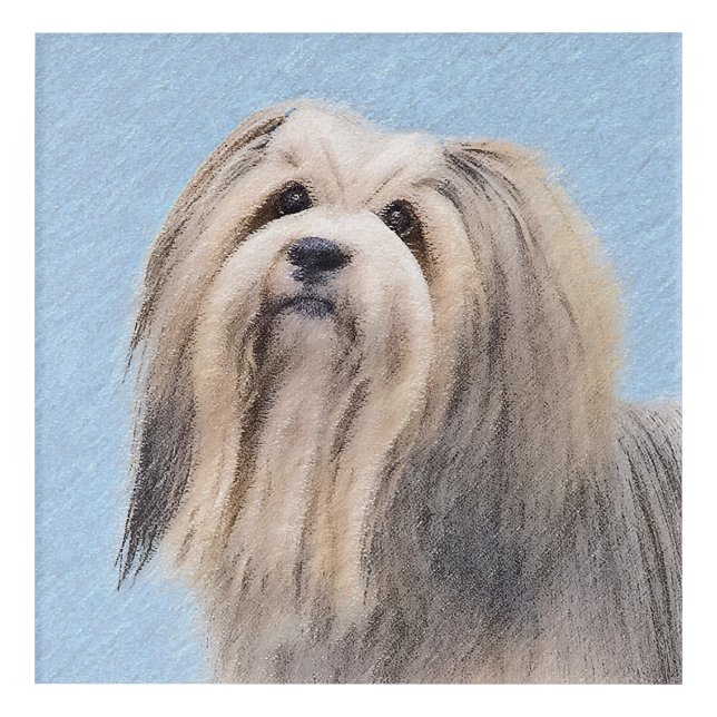 Havanese (Silver) Painting - Cute Original Dog Art (Front)