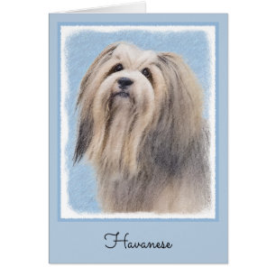 Havanese (Silver) Painting - Cute Original Dog Art Cards