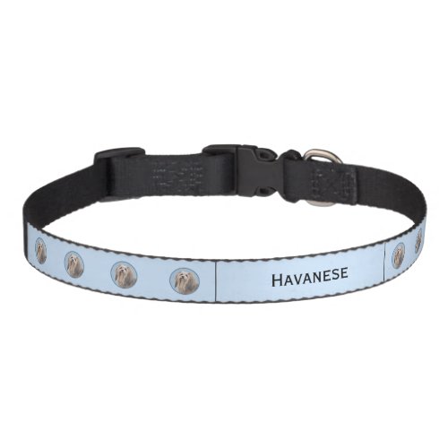 Havanese Silver Painting _ Cute Original Dog Art Pet Collar