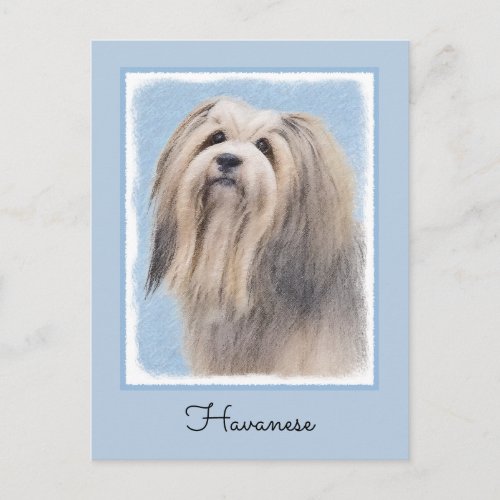 Havanese Silver Painting _ Cute Original Dog Art Postcard