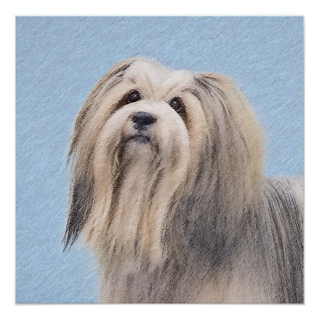 Havanese (Silver) Painting - Cute Original Dog Art Poster (Front)