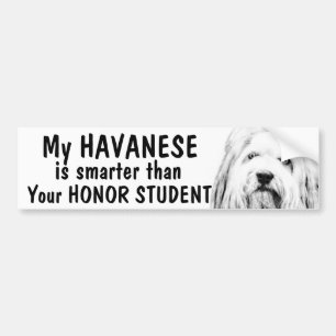 Havanese - Smarter than honor student - funny Bumper Sticker