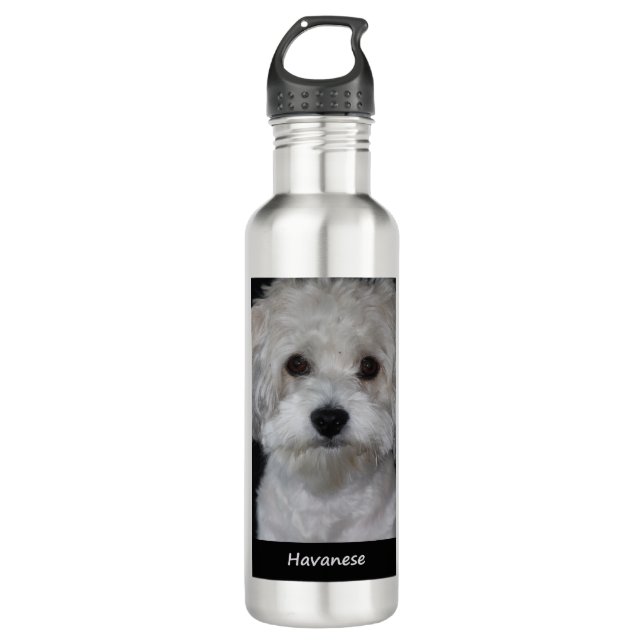 Havanese Stainless Steel Water Bottle (Front)