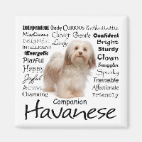 Havanese Traits Magnet