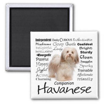 Havanese Traits Magnet by ForLoveofDogs at Zazzle