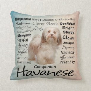 Havanese Traits Pillow