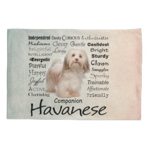 Havanese Traits Pillow Case