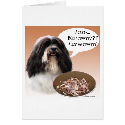 Havanese Turkey Cards (Front)