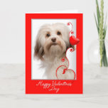 Havanese Valentine's Day Card