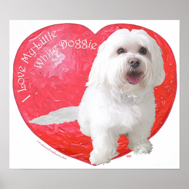 Havanese Valentine's Day Poster (Front)