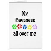 Havanese Walks Design (Front)