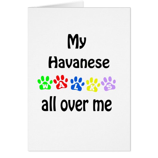 Havanese Walks Design Cards (Front)