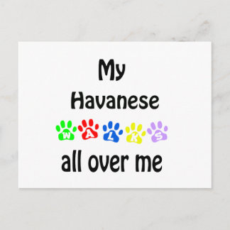 Havanese Walks Design Postcard