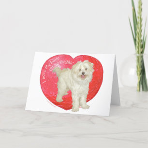 Havanese / Westie Mix Valentine's Day Holiday Card