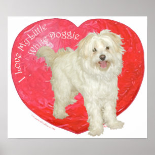 Havanese / Westie Mix Valentine's Day Poster
