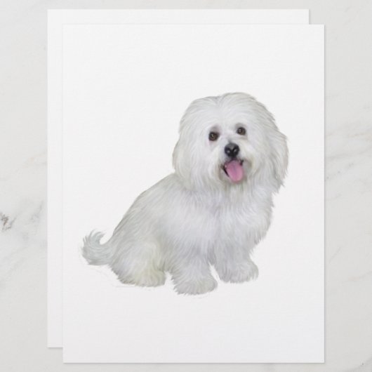 Havanese (white) (Front/Back)
