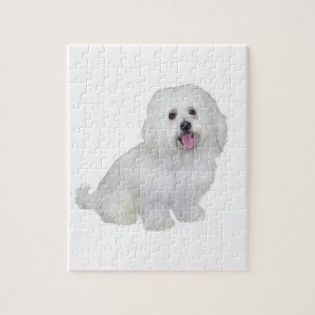 havanese puzzle