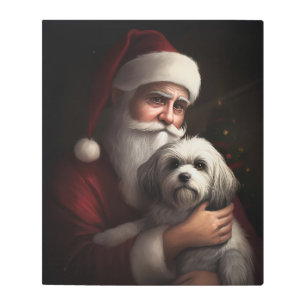 Havanese With Santa Claus Festive Christmas Metal Print