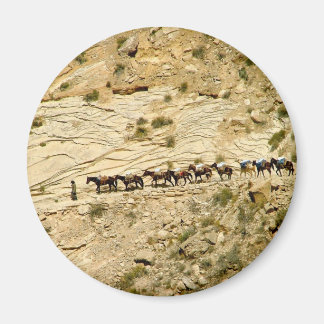 Havasu Canyon Pack Train Magnet