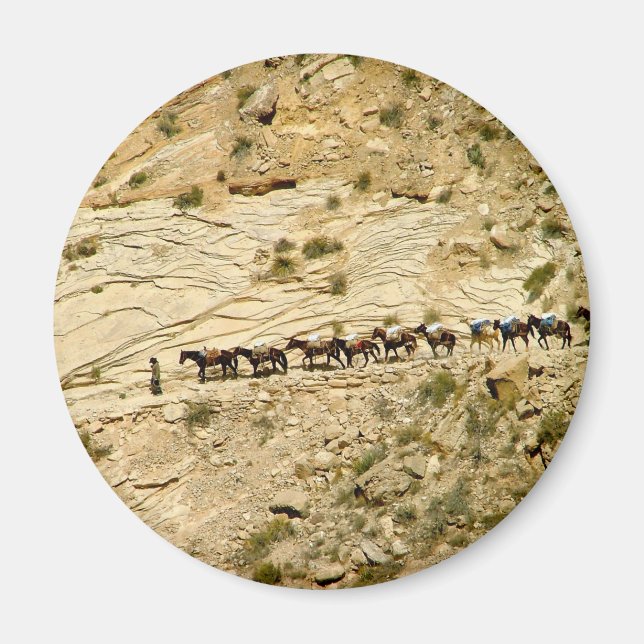 Havasu Canyon Pack Train Magnet (Front)