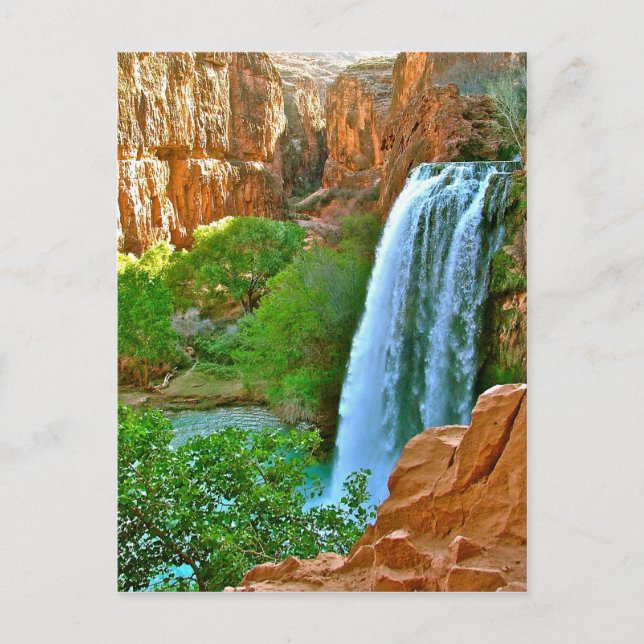 Havasu Falls Canyon Postcard (Front)