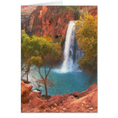 Havasu Falls Waterfall, Southwest (Front)