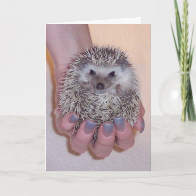 Have A Ball Greeting Card (Front)