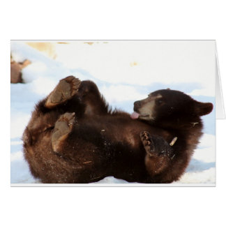 Have a BEARY Good Day!!! Cards