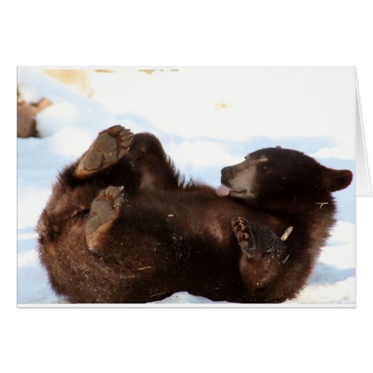 Have a BEARY Good Day!!! Cards (Front Horizontal)