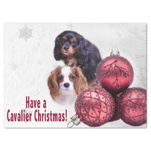 Have A Cavalier Christmas CKCS Tissues Paper