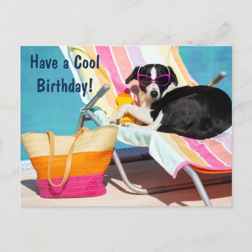 Have a Cool Birthday Funny Dod by the Pool Holiday Postcard