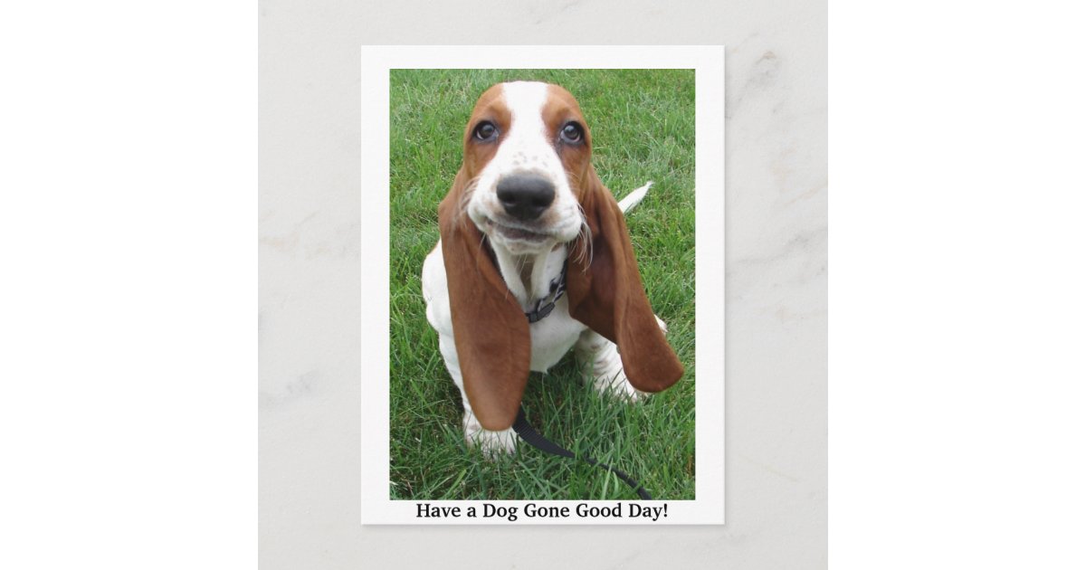 Have a Dog Gone Good Day! Postcard Zazzle