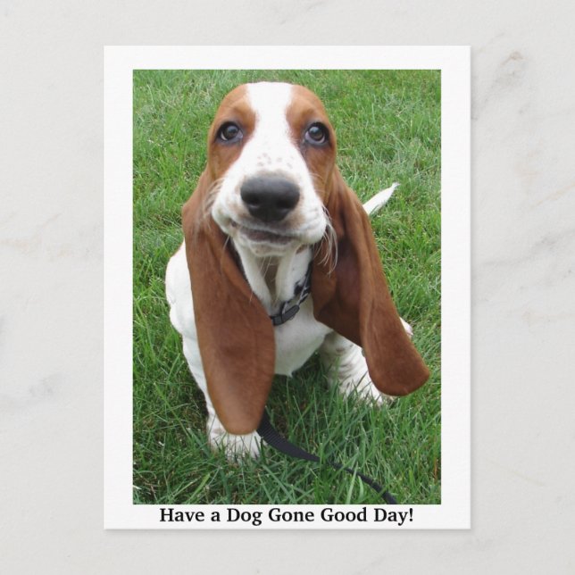 Have a Dog Gone Good Day! Postcard (Front)