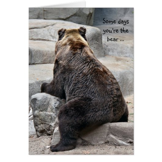 Have a Good Day Bear Cards (Front)
