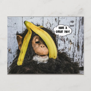 "Have a Great Day!" Gotta Love thisHappy  Chimp Postcard