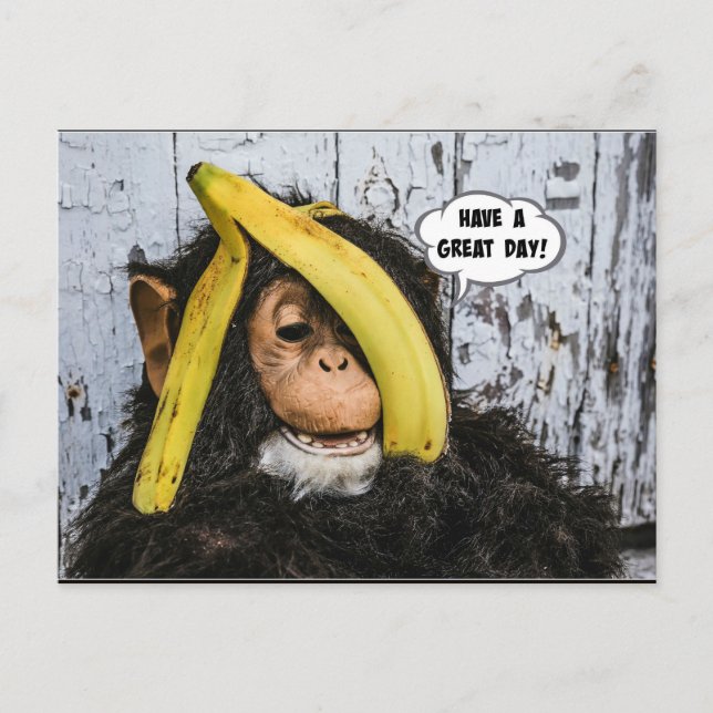 "Have a Great Day!" Gotta Love thisHappy  Chimp Postcard (Front)