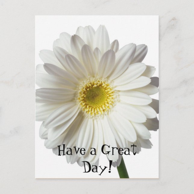 Have a Great Day! Postcard (Front)