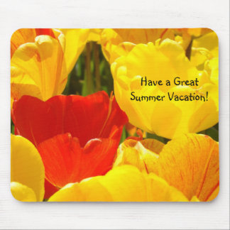 Have a Great Summer Vacation! mousepad Teacher