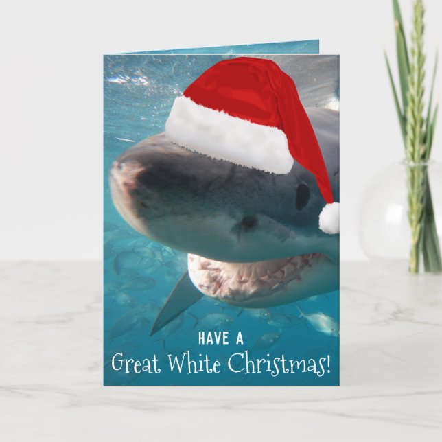 Have a Great White Christmas Funny Shark Australia Holiday Card (Front)