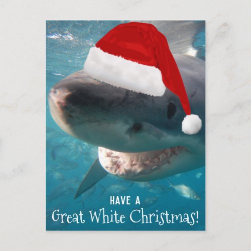 Have a Great White Christmas Funny Shark Australia Postcard