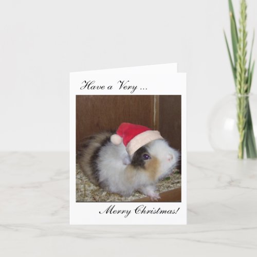 Have a Guinea Merry Christmas card Holiday Card